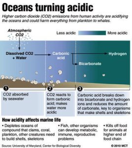 OceanAcidification is the cost of absorbing atmospheric CO2, lowering the thermostat.