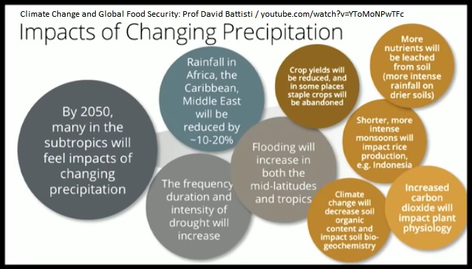 Consequences of Shifting Precipitation