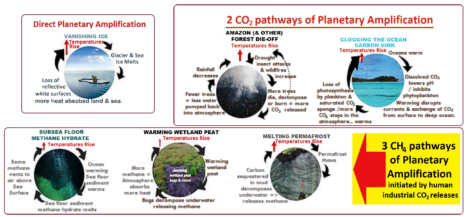 Planetary Amplification of Warming